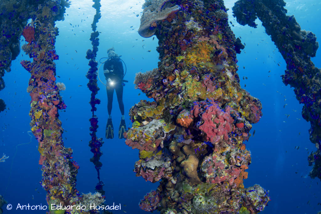 Diver at the wreck of the Iro in Palau